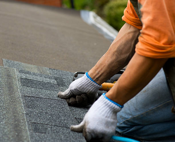 Best Roof Gutter Cleaning  in Emerald Lakes, PA